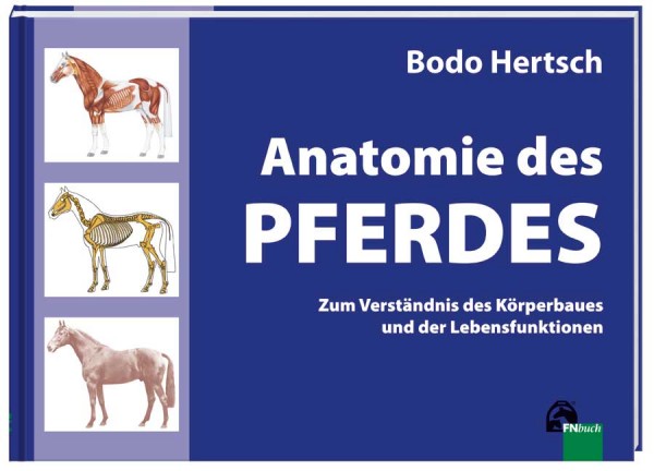 Hertsch, Bodo: Anatomie des Pferdes