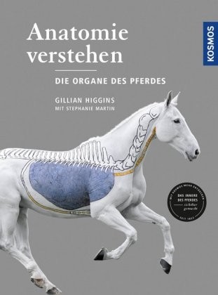 Higgins;Gilian; Anatomie verstehen - Die Organe des Pferdes