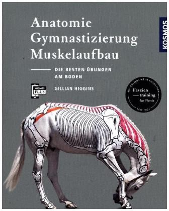 Higgins, Gilian; Anatomie, Gymnastizierung und Muskelaufbau
