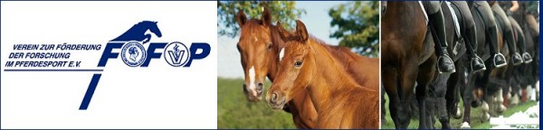 FFP e.V. Erhaltung der Gesundheit von Pferden durch gutes Reiten