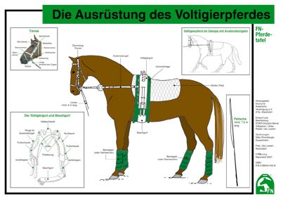 FN-Pferdetafel: Die Ausrüstung des Voltigierpferdes